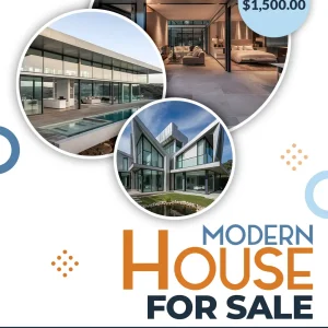 Modern House Flyer