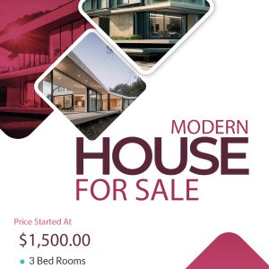 Modern House Flyer